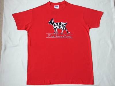 Erwachsenen T-Shirt Classic rot